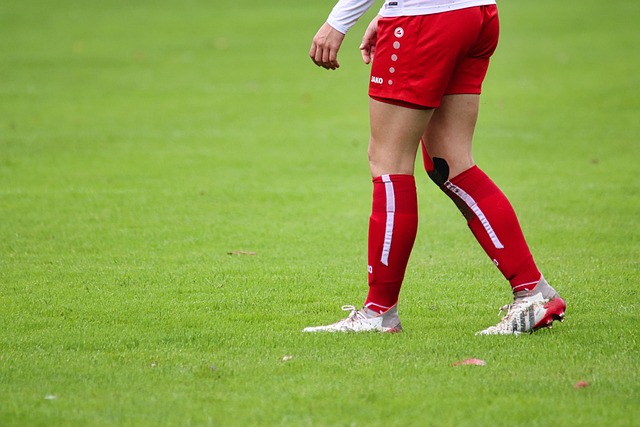 威尔斯的声 威尔斯的声