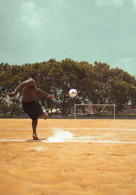 多樣化的理 多樣化的理