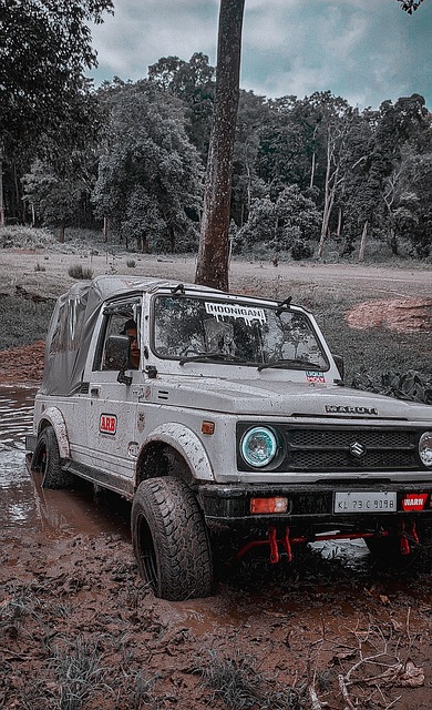 的突破引领 的突破引领