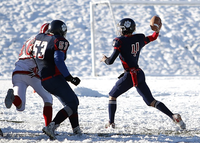 要对一批图 要对一批图