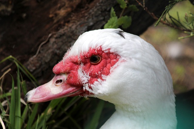 分享心得 分享心得