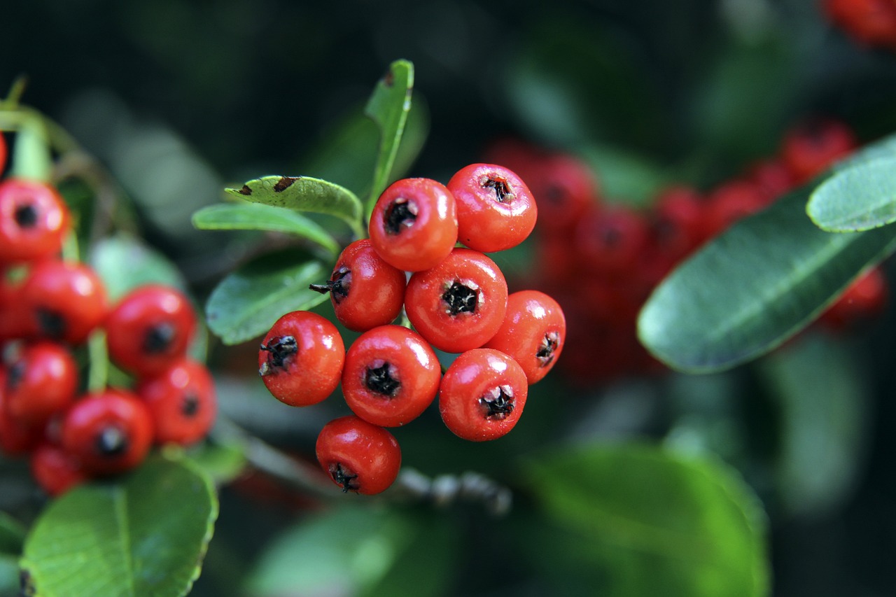 绝对强压 绝对强压