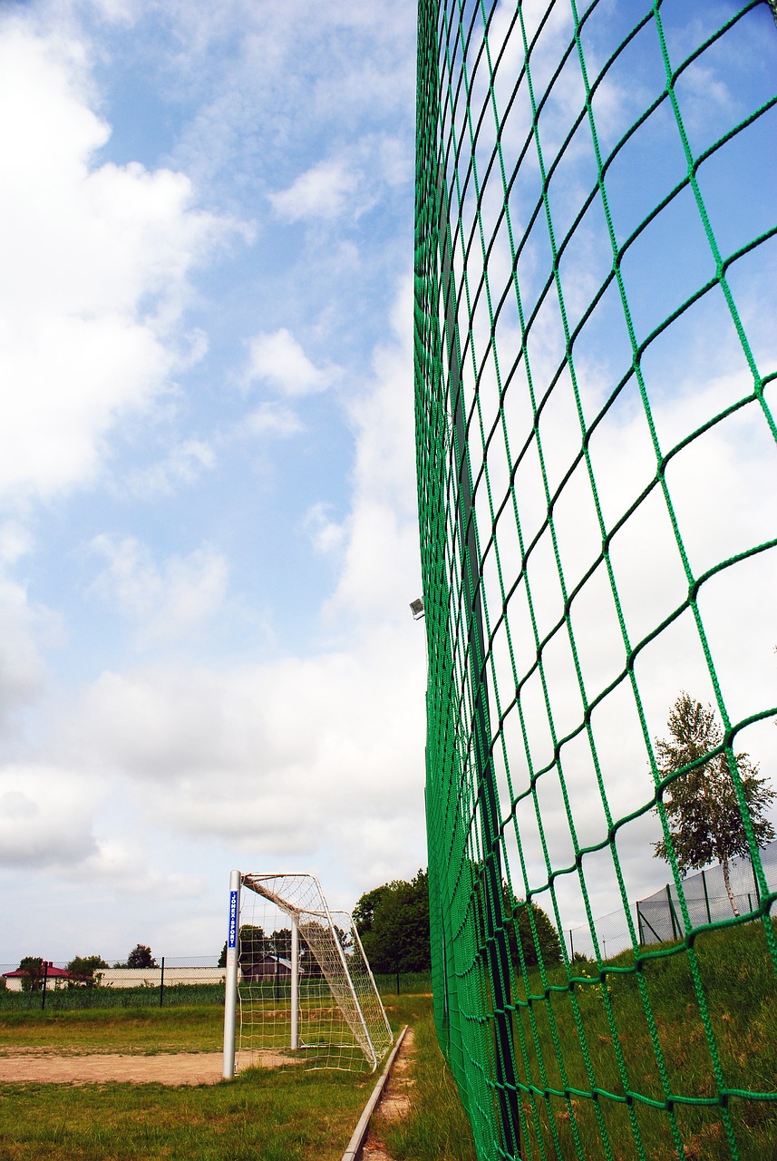 到投篮姿势 到投篮姿势